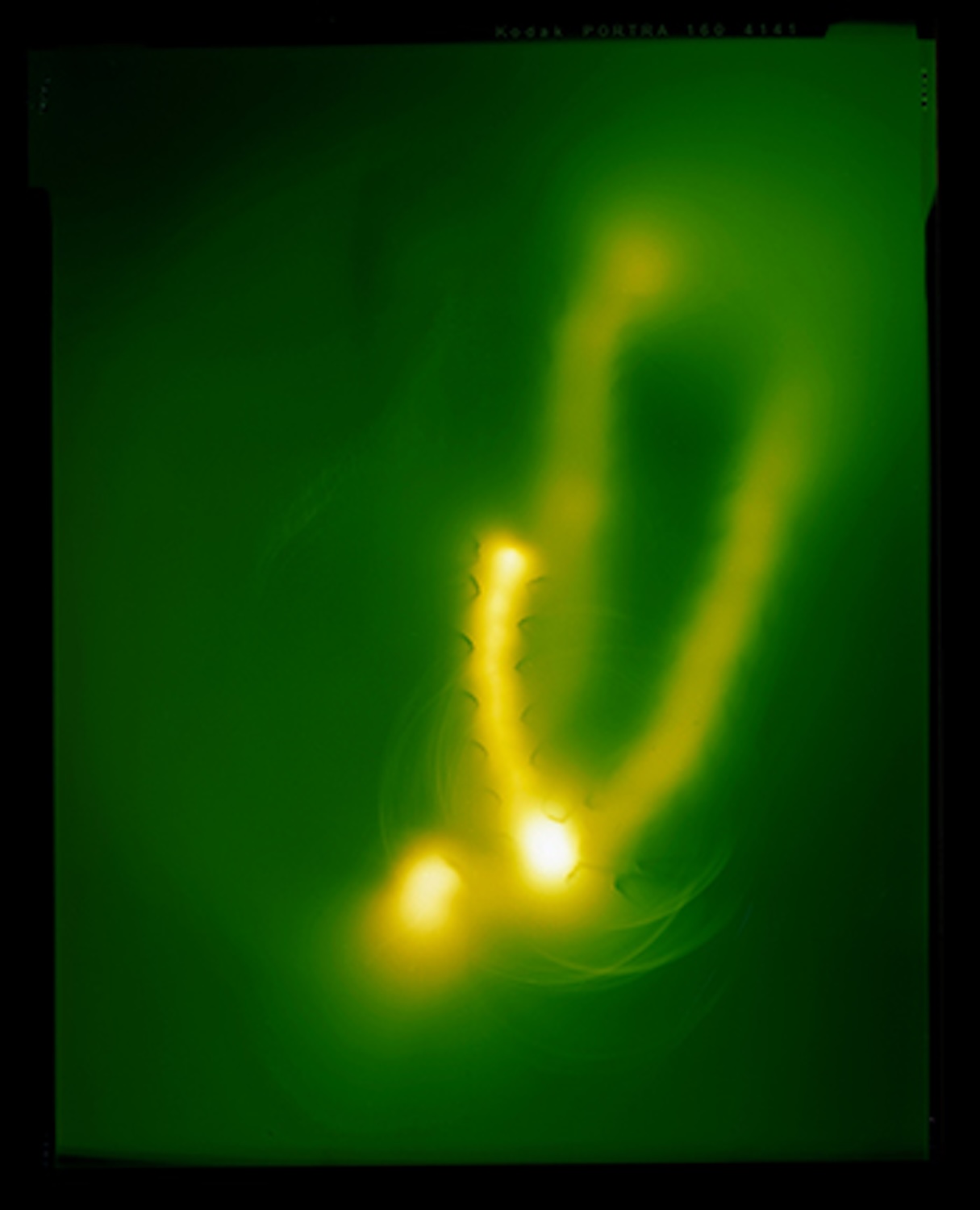 Gallery Cafe 3 | catalog